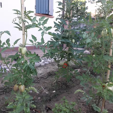 Bed & Breakfast La Soffitta 3*